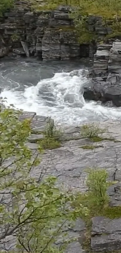 Serene river with rugged rocks and lush greenery in mobile wallpaper.