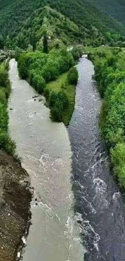 Wallpaper of two rivers meeting in lush green landscape and a mountain background.