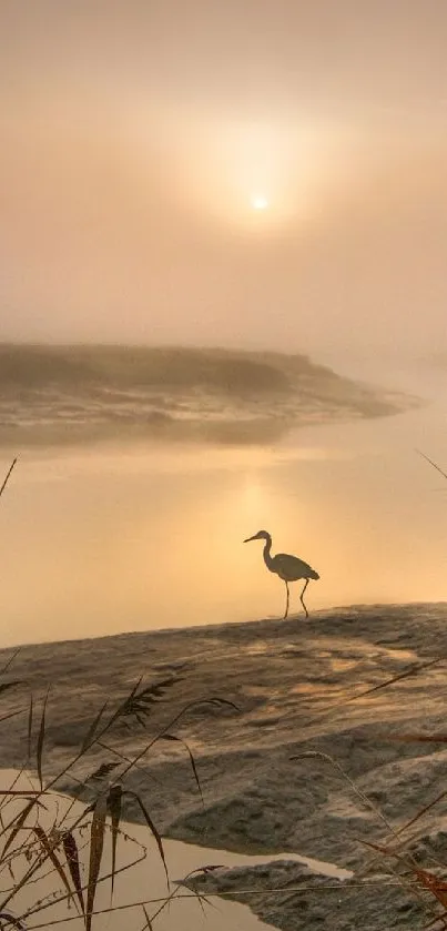 Serene dawn view with river and bird in mist.