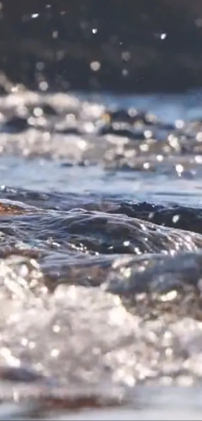 Calming river flow with sparkling water on a mobile wallpaper.