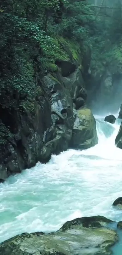 Serene river flowing through lush forest landscape.