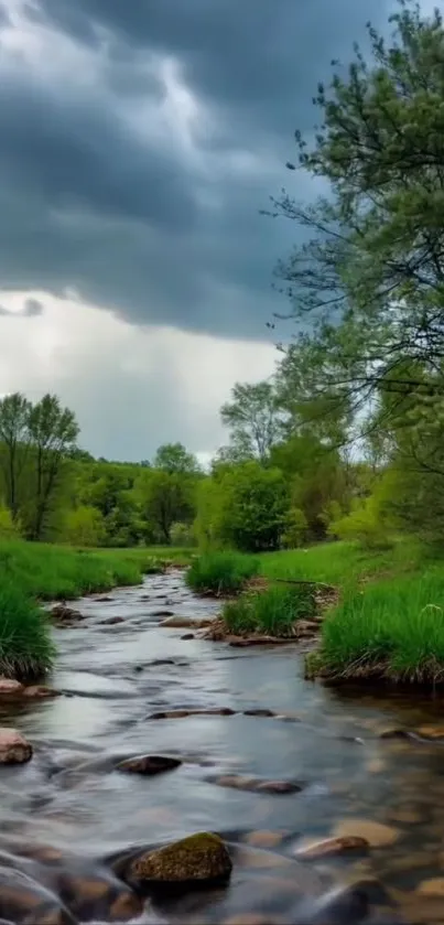 A tranquil river flowing through a lush green forest under a cloudy sky.