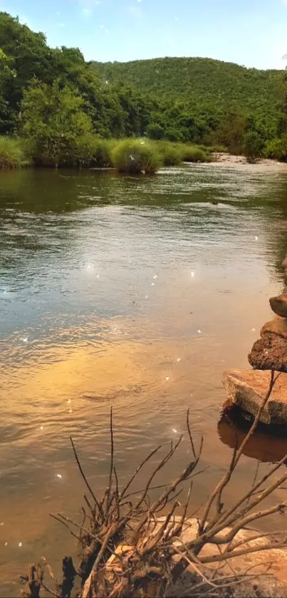 Serene river landscape with greenery and stones under a blue sky.