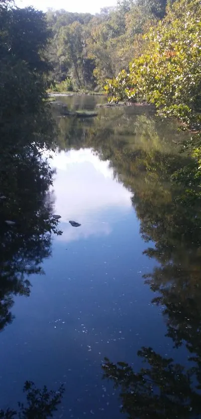 Serene river with lush trees reflecting in calm water.