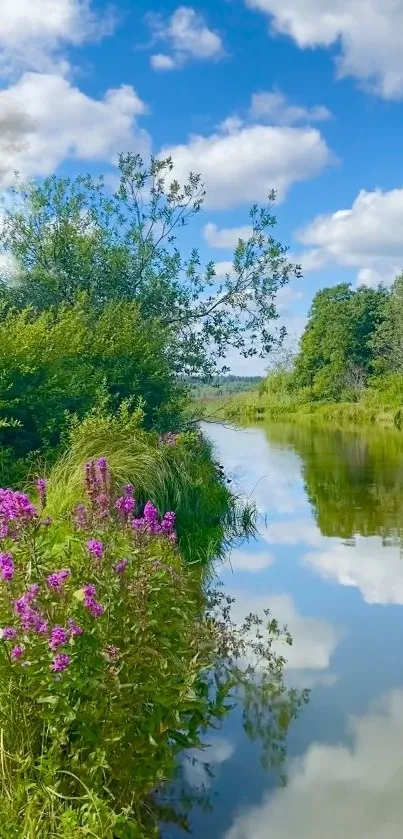 Serene river and nature scene with purple flowers.