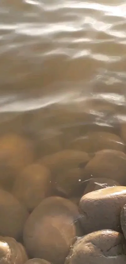 Smooth river pebbles under sunlit water in a serene setting.