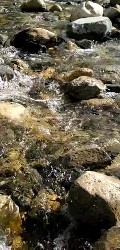 Flowing river over rocks with sunlight glistening, serene nature landscape.