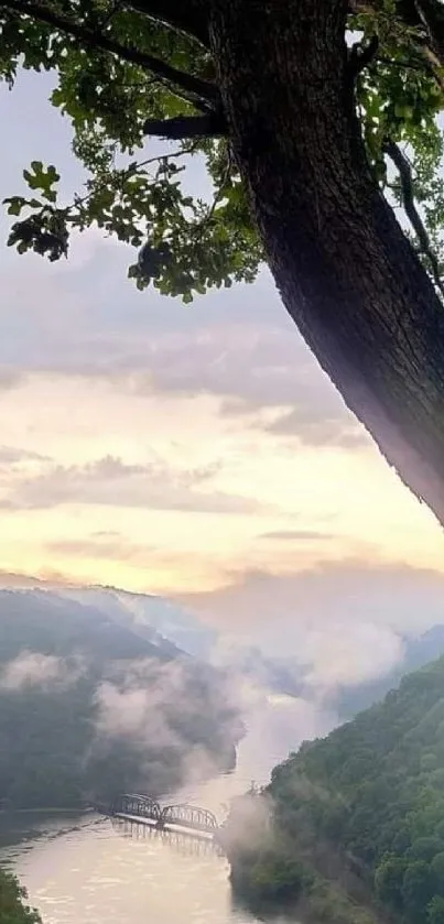 Serene river valley with lush greenery and mist.