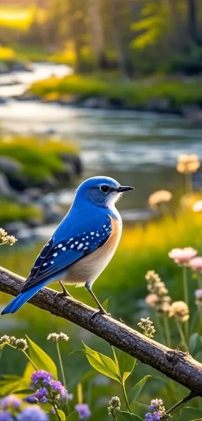 Bluebird perched by a scenic river with flowers in bloom.