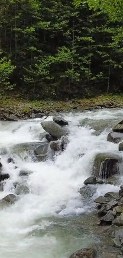 Mobile wallpaper with a river and lush forest scenery.