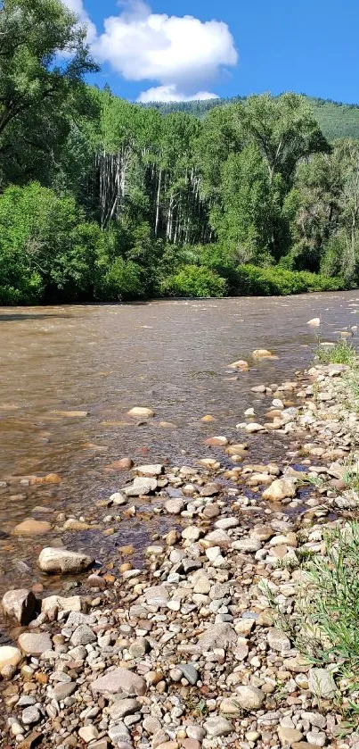 Peaceful riverbank with greenery and blue sky.