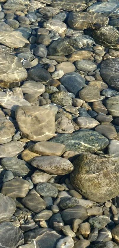 Mobile wallpaper of riverbed stones underwater.