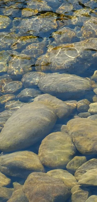 Smooth riverbed stones beneath clear water.