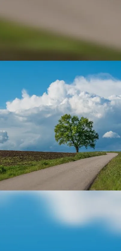 Peaceful rural road with a solitary tree under a vibrant blue sky.