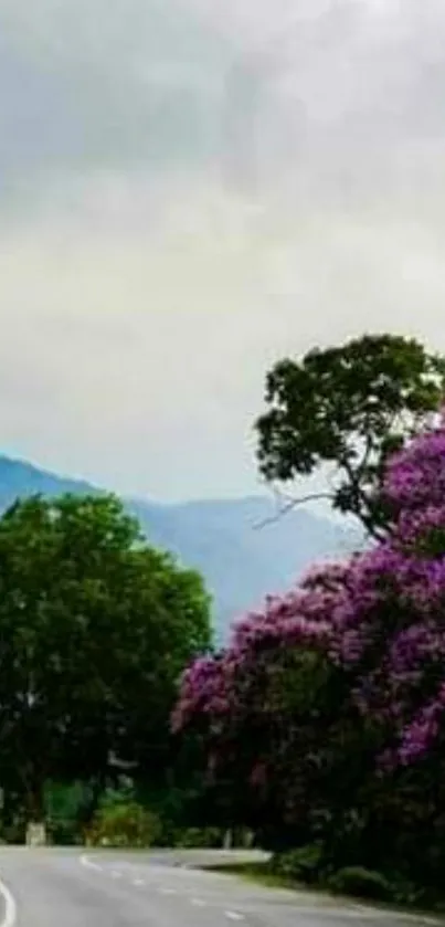 Serene road with vibrant purple flowers and lush green trees.