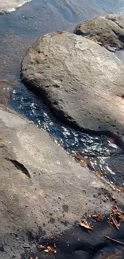 Rock-lined stream with serene water flow over stones.