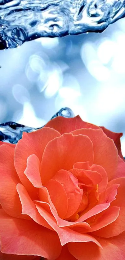 Orange rose with cascading water backdrop creating a serene atmosphere.