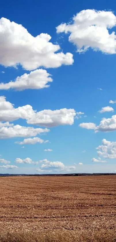 Vast open field under a bright blue sky with white clouds on a sunny day.