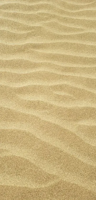 Serene beige sand dunes creating a calming mobile wallpaper texture.