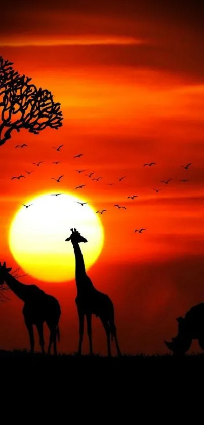 Silhouetted giraffes at sunset in African savannah wallpaper.