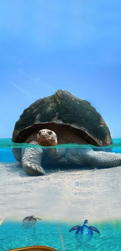 Serene sea turtle on beach with open book, calm ocean view.