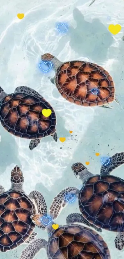 Group of sea turtles swimming in clear, light blue water.