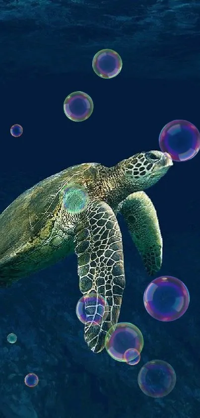 Graceful sea turtle swimming in deep blue ocean waters.