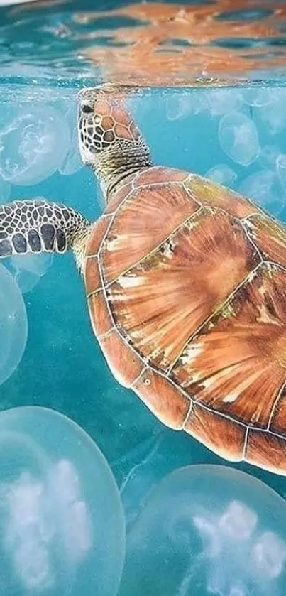 Sea turtle swims with jellyfish in blue ocean.