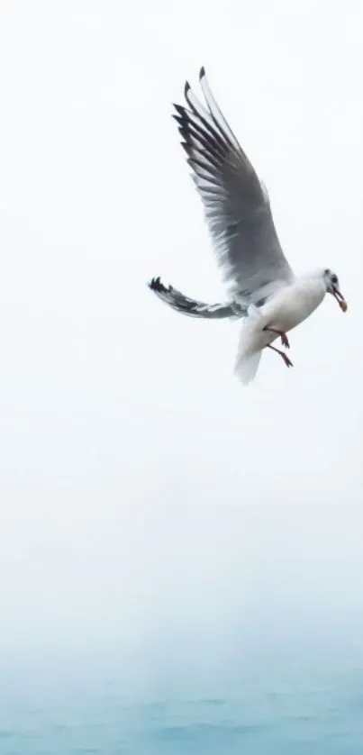 Seagull flying gracefully over a calm ocean with a cloudy sky backdrop.