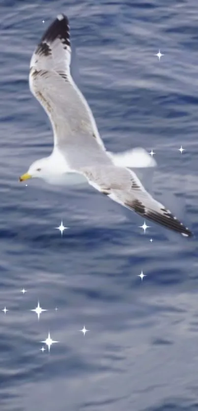 Seagull flying over sparkling blue ocean waters with sky reflection.