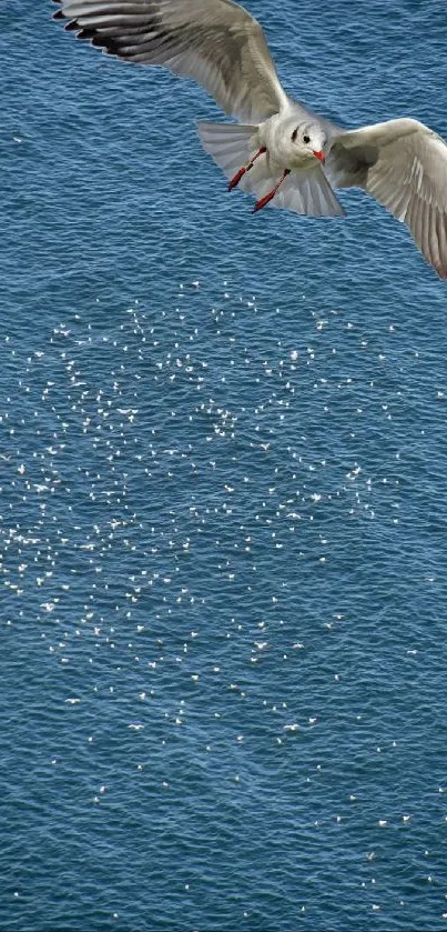 Seagull soaring over blue ocean waters, creating a peaceful scenery.