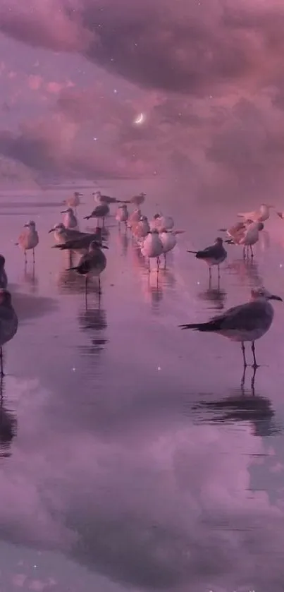 Seagulls reflected in tranquil sunset ocean.