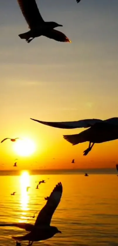 Silhouettes of seagulls against a tranquil ocean sunset.