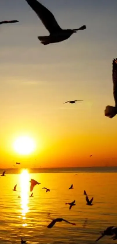 Seagulls fly over a calm sea during a golden sunset.