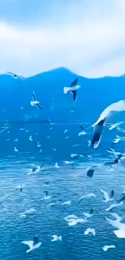 Seagulls soaring over a tranquil, blue ocean with distant mountains.