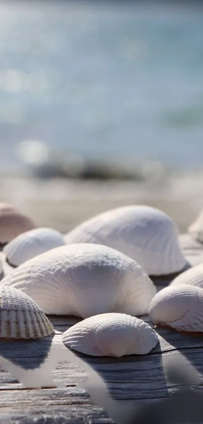 Serene scene of seashells on a beach with ocean in the background.