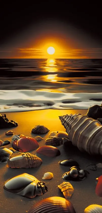 Sunset on a beach with seashells on sand.