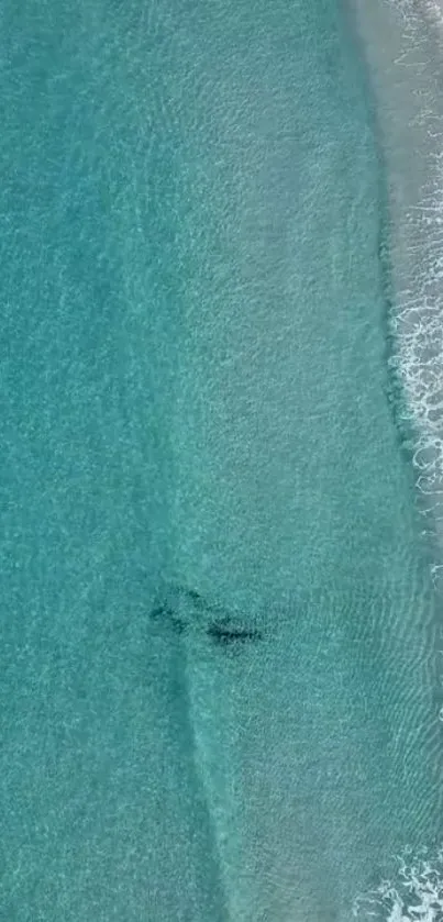 Aerial view of a serene beach with turquoise waves and sandy shore.