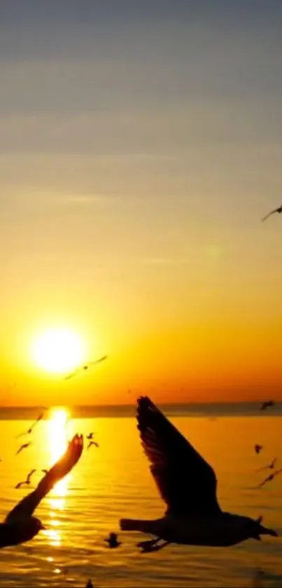 Sunset over the ocean with birds flying