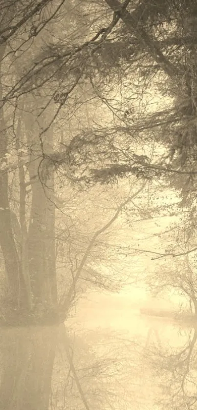 Sepia-toned misty forest with serene reflections.