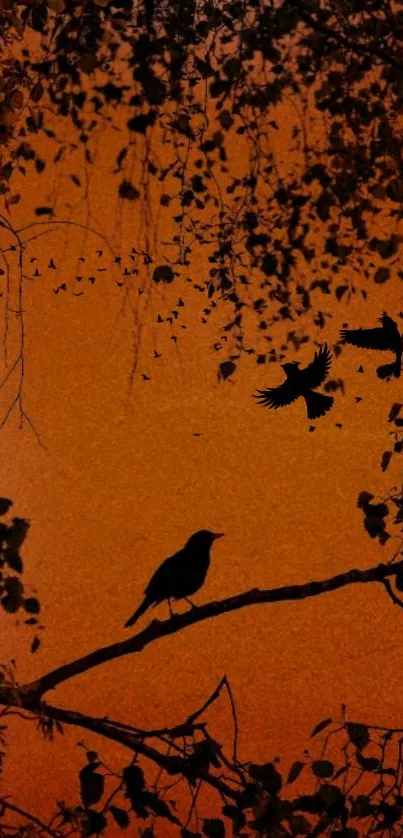 Birds in silhouette on branches with orange backdrop.