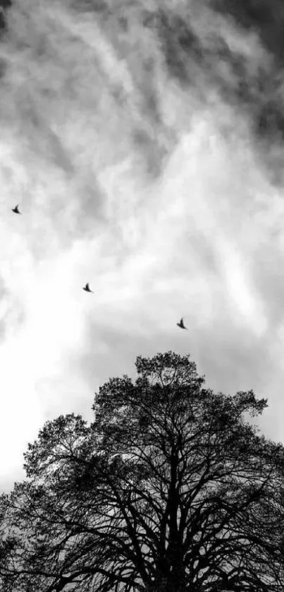 Silhouette of tree with birds in black and white sky.