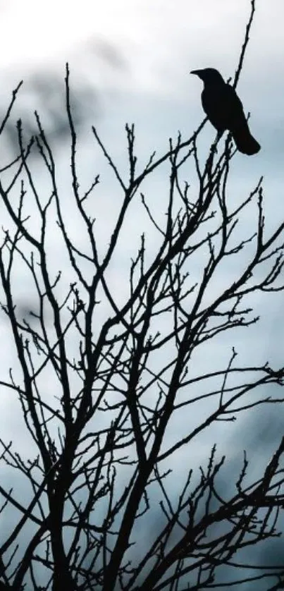 Crow silhouette on bare tree branch against a moody sky wallpaper.