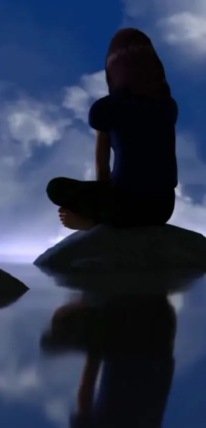 Silhouette on a rock reflects in water under a cloudy evening sky.