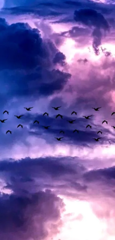 Purple cloudy sky with flying birds wallpaper.