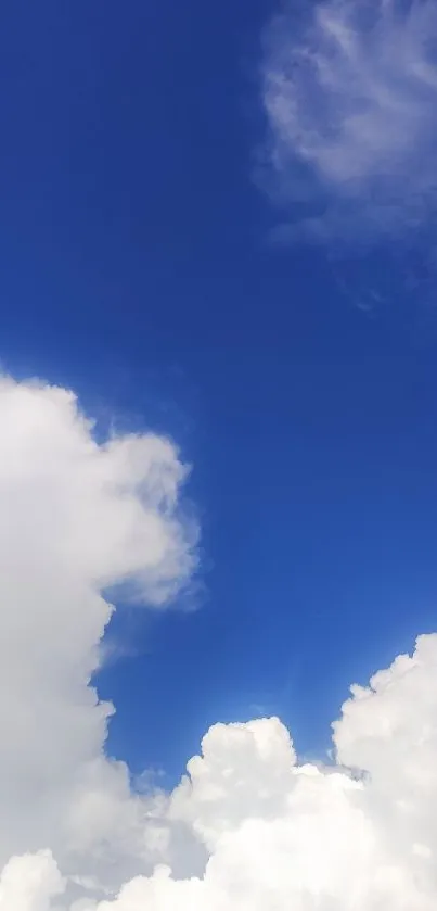 Vivid blue sky with fluffy white clouds wallpaper.