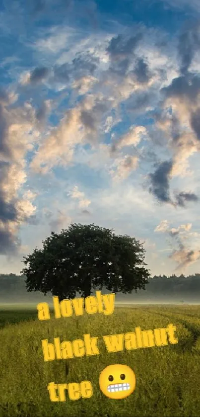 Serene landscape with blue sky, clouds, and green fields at sunrise.