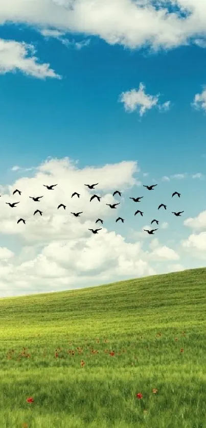 Serene landscape with blue sky, clouds, green field, and flying birds.