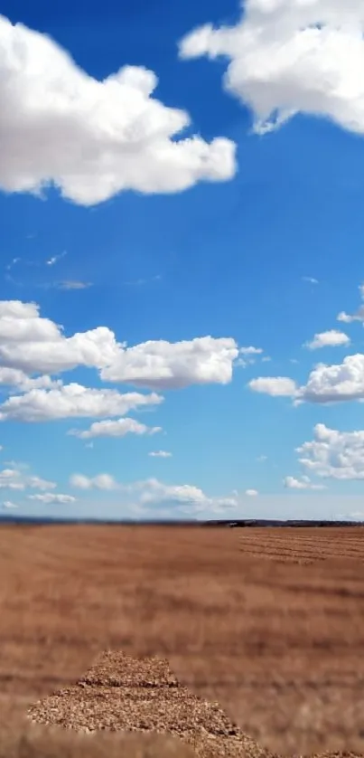 A vast field under a blue sky with fluffy clouds, perfect for wallpaper.