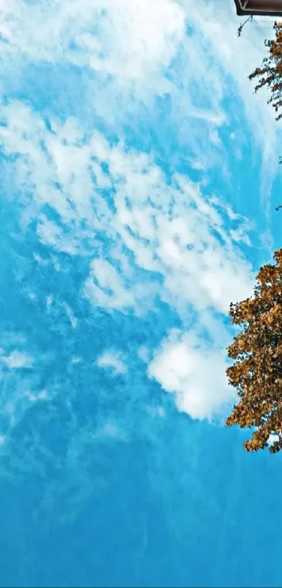 Bright blue sky with clouds and autumn leaves on the side.